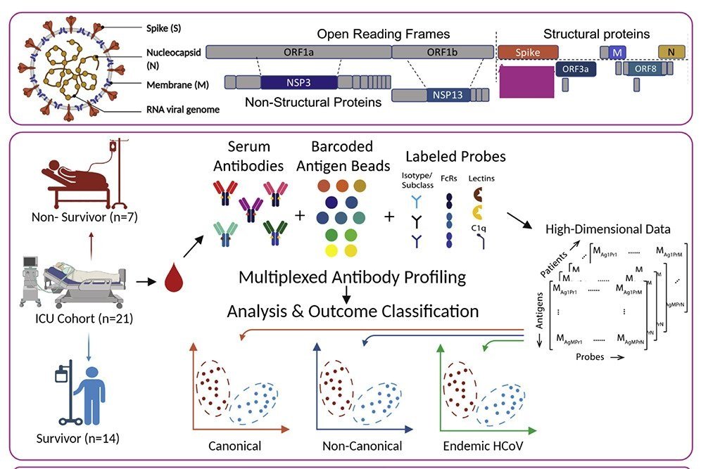 New paper in Cell Reports