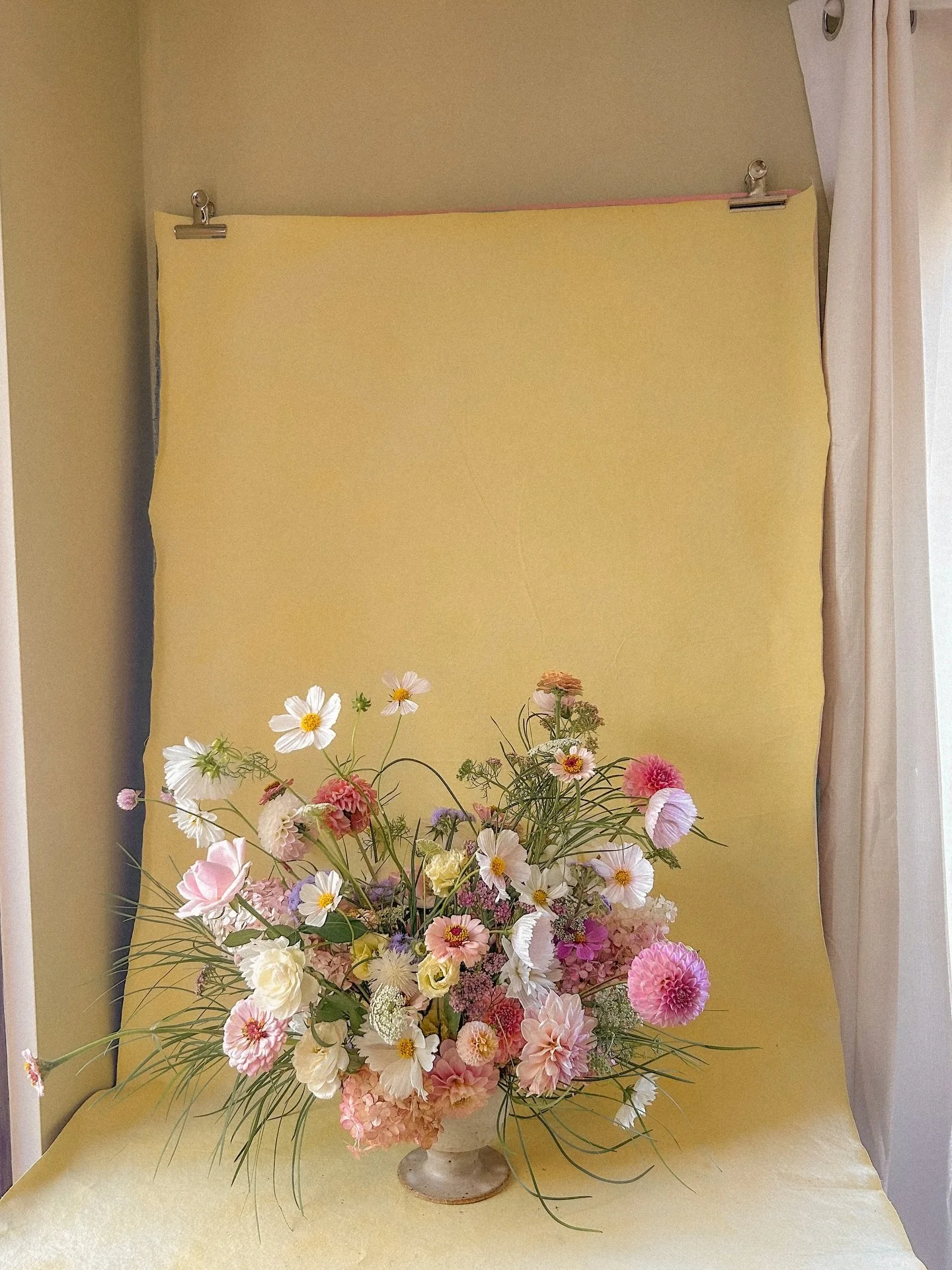 Did autumn sneak up on anyone else like it did for me? Got quite a few days into March before I realized. 🫠

Autumn could possibly be my favourite season?! Crisp, blue-skied days, crunchy leaves and so many delicious flowers. 🥹