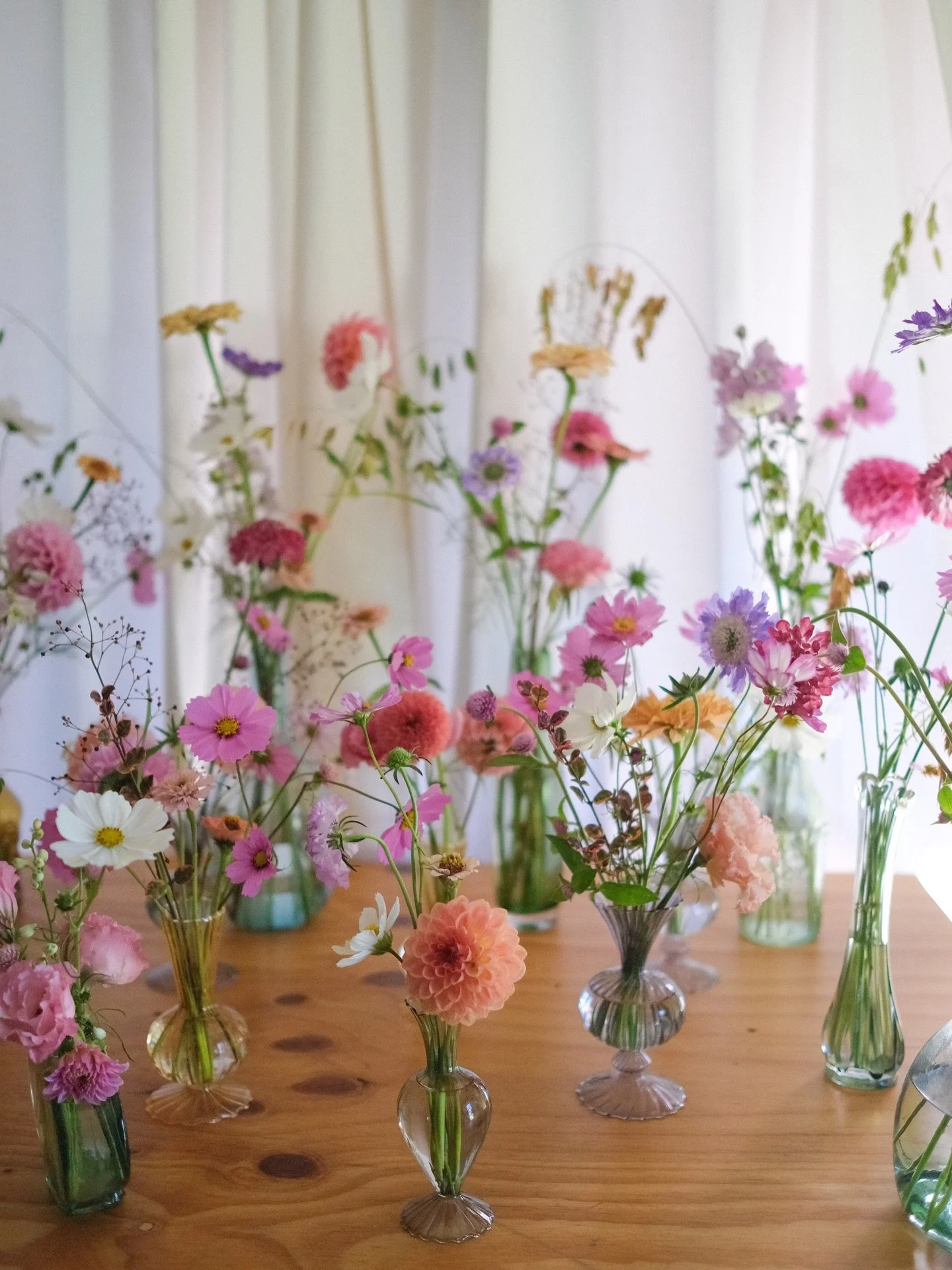 Thrifted vases and wild blooms 🥹