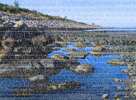 Spectacle Island Park