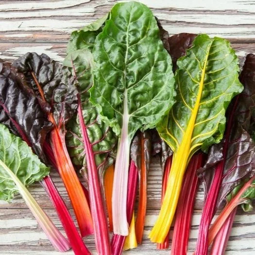 RainbowChard.jpg