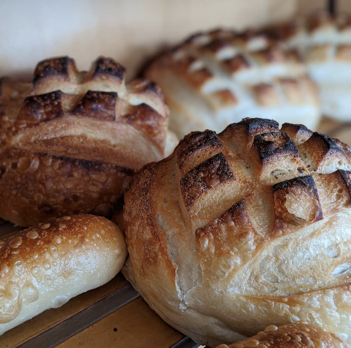 Fresh Baked Breads