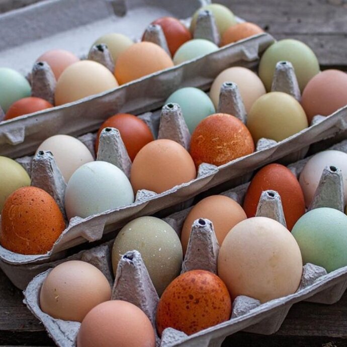 Pasture Raised Eggs