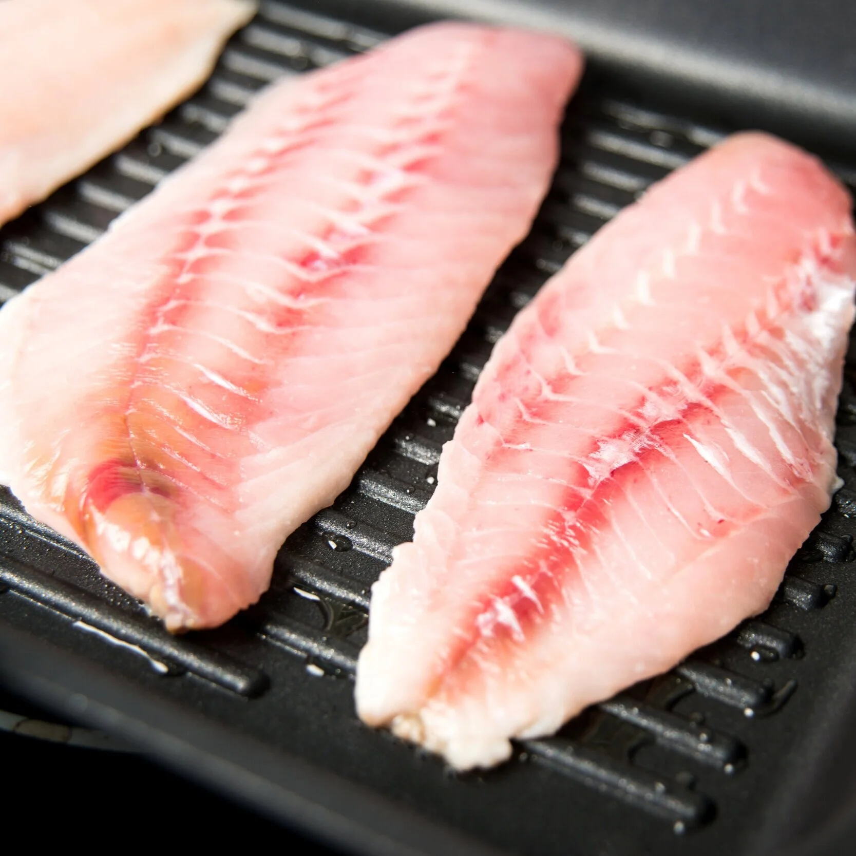 Rock Fish Fillets (12 oz)