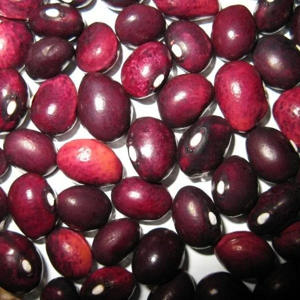 cranberrybeans.jpg