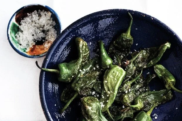 Blistered Padrón Peppers