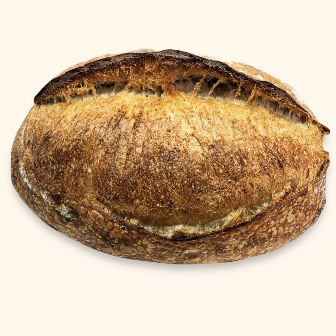 COASTLOAF.jpg
