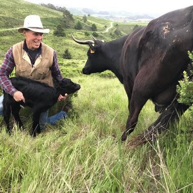 Leftcoast Grassfed / Pescadero