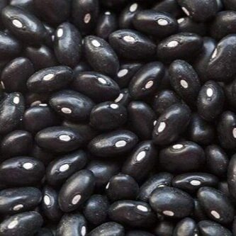Dried Black Turtle Beans