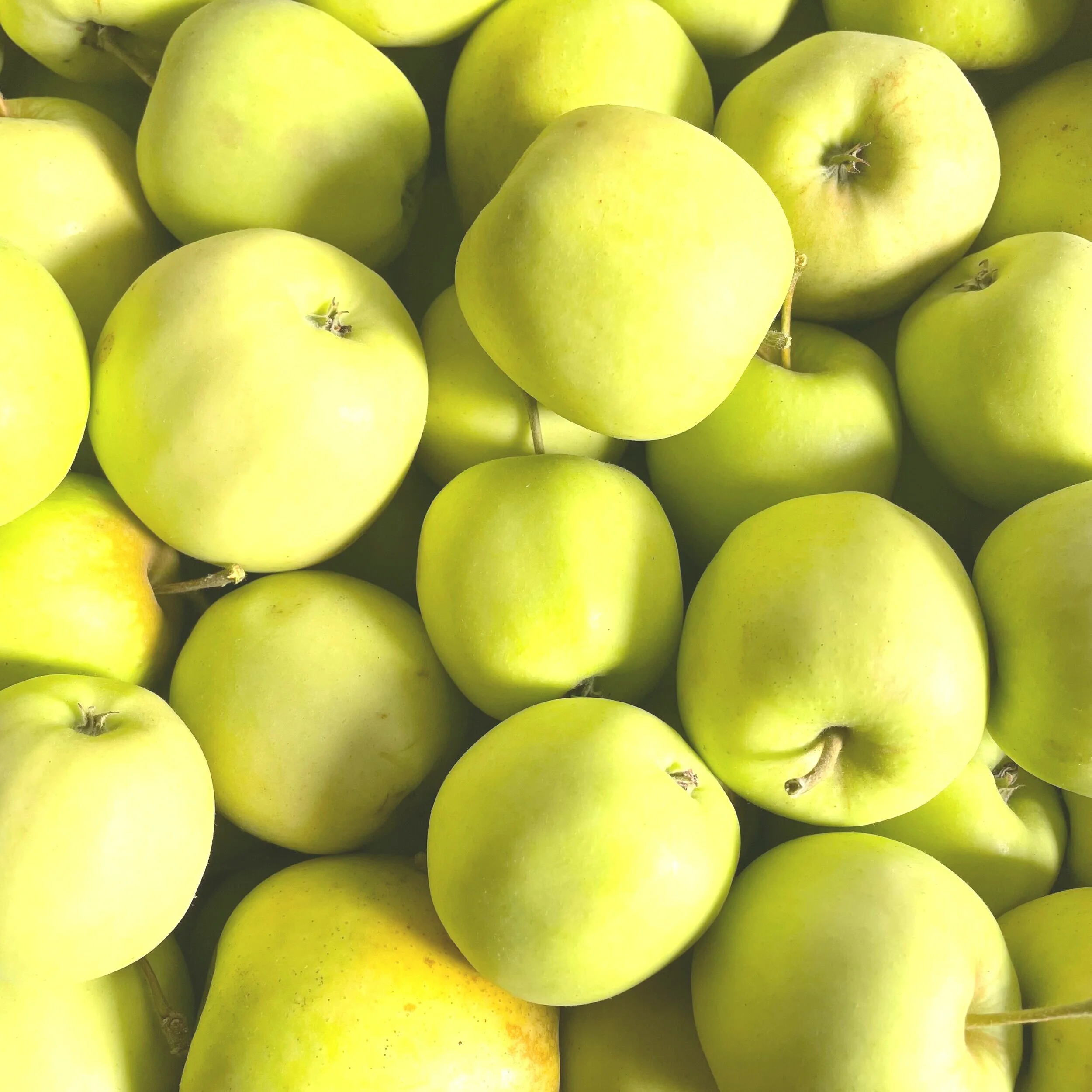 Apples - Golden Delicious