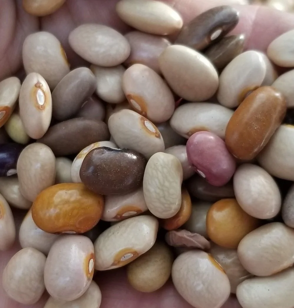 pebblebeans.jpg