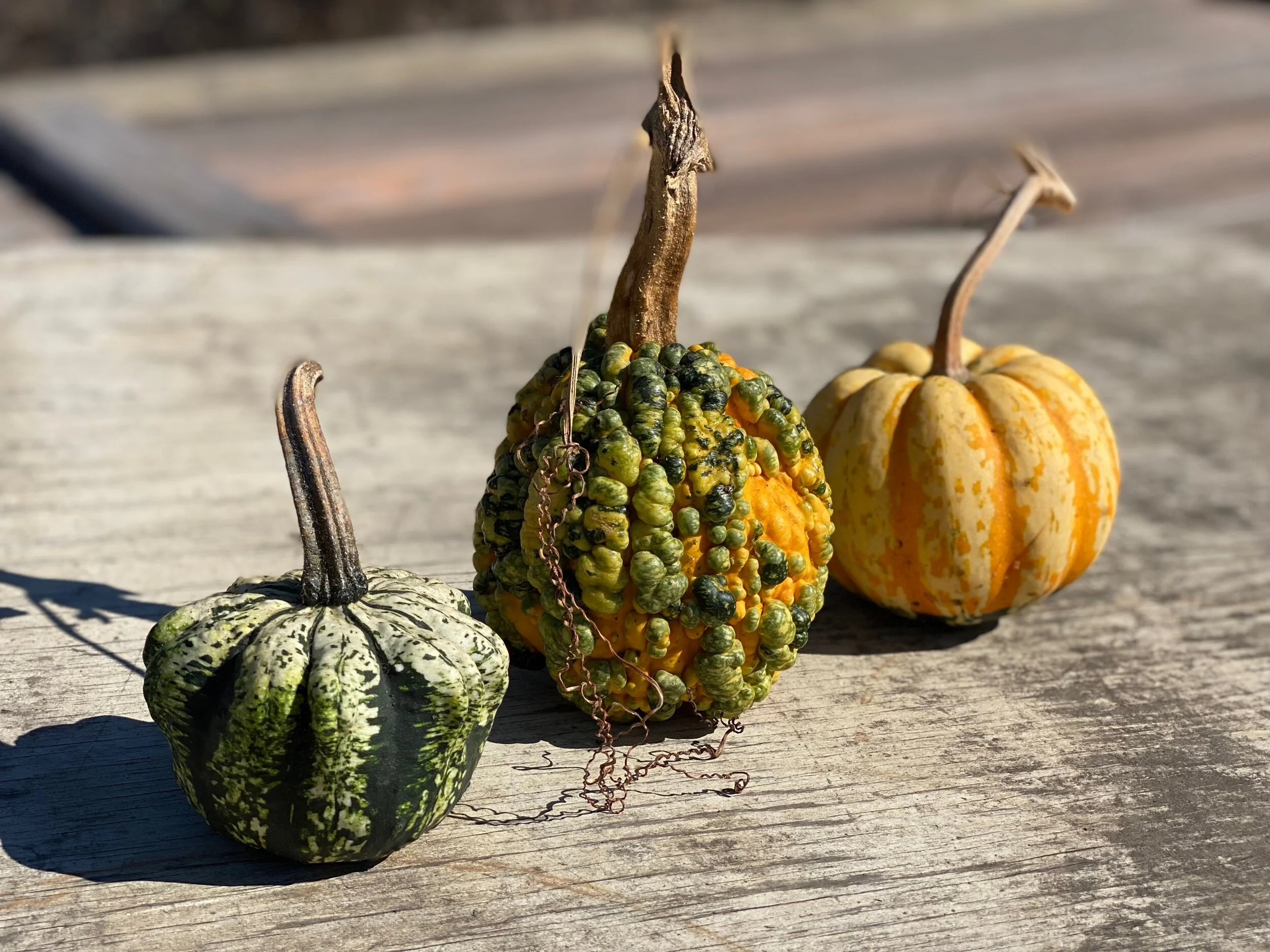 B3EB00F6-07AE-4B59-BB00-781142BEA900