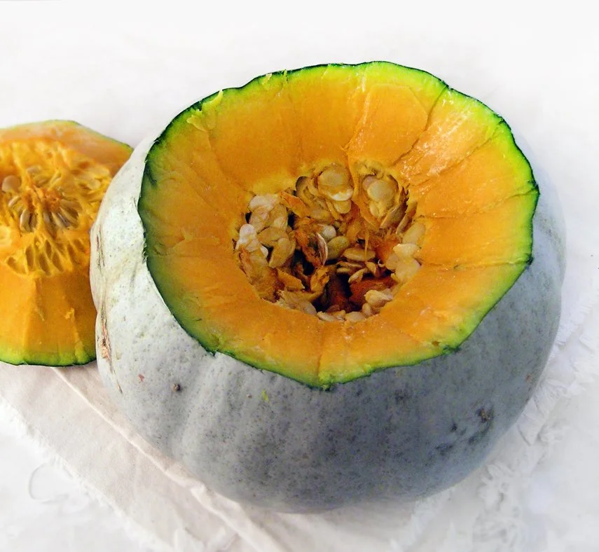 Hokkaido Stella Blue Squash