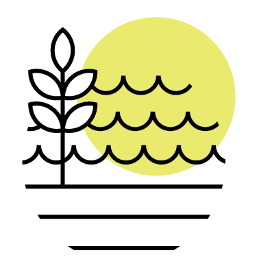 Coastside Tomato Sauce (Frozen)