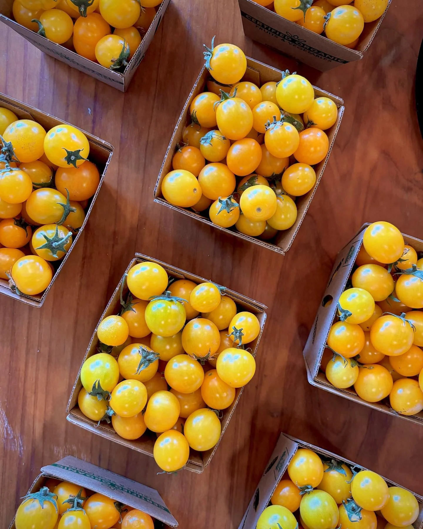 Our first tomatoes of the season! Thank you for sharing @bluehousefarm #eatlocal #eatlikearebyl