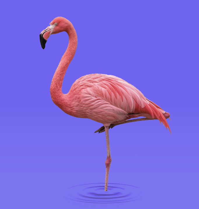 Capture.PNG