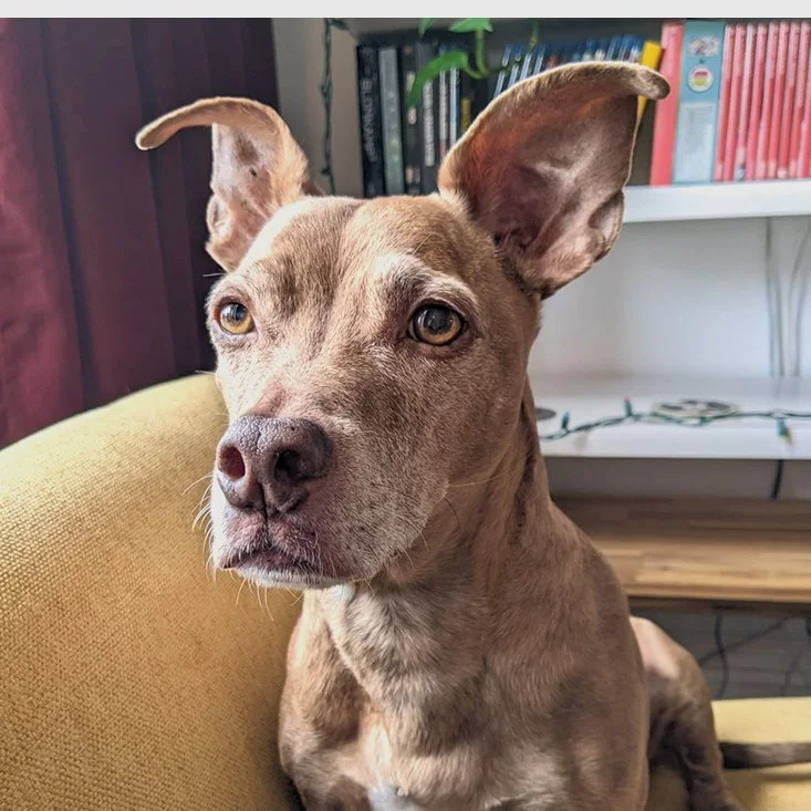 4971067401561045342 2.jpg