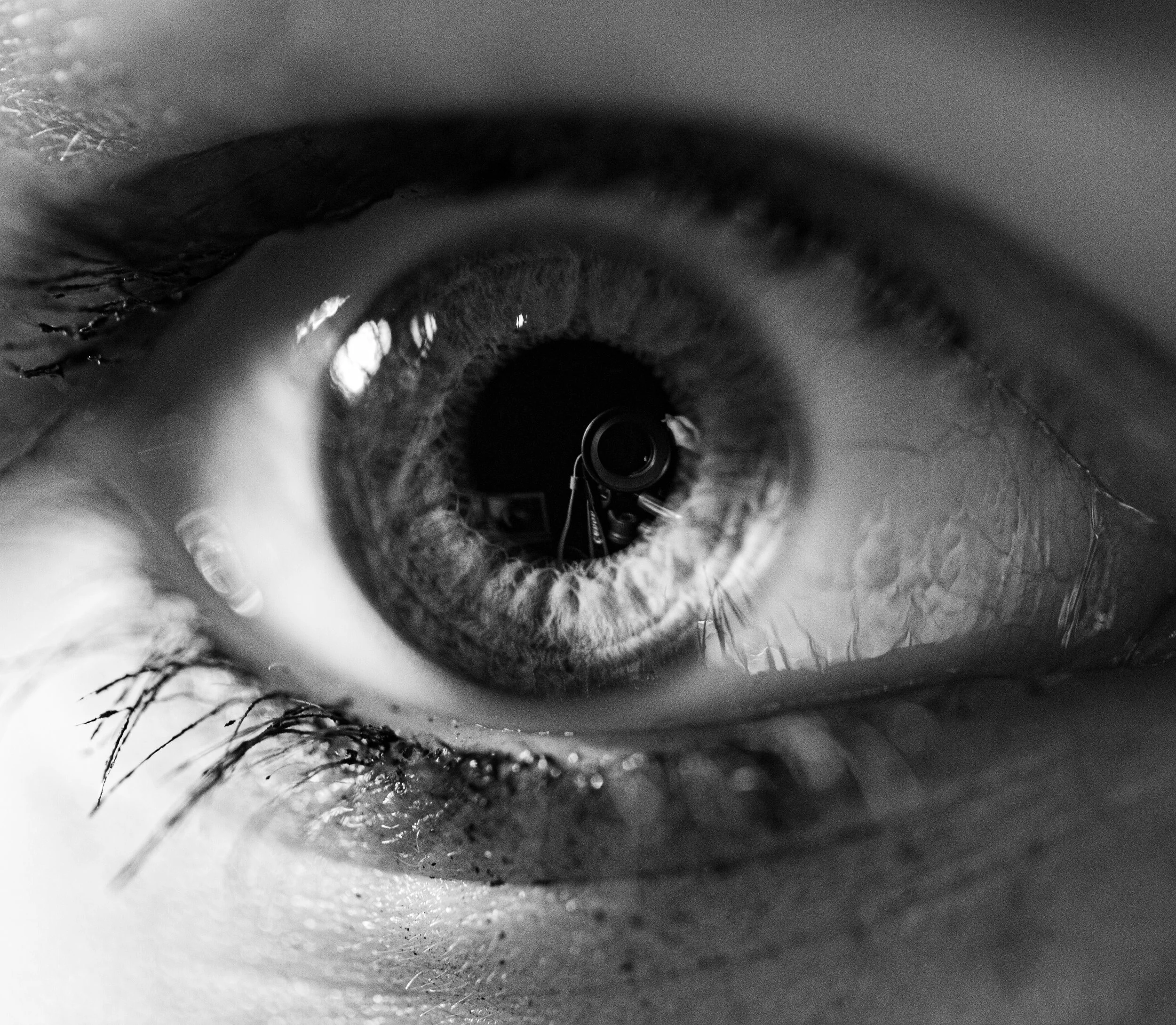 Fear of the Public Eye