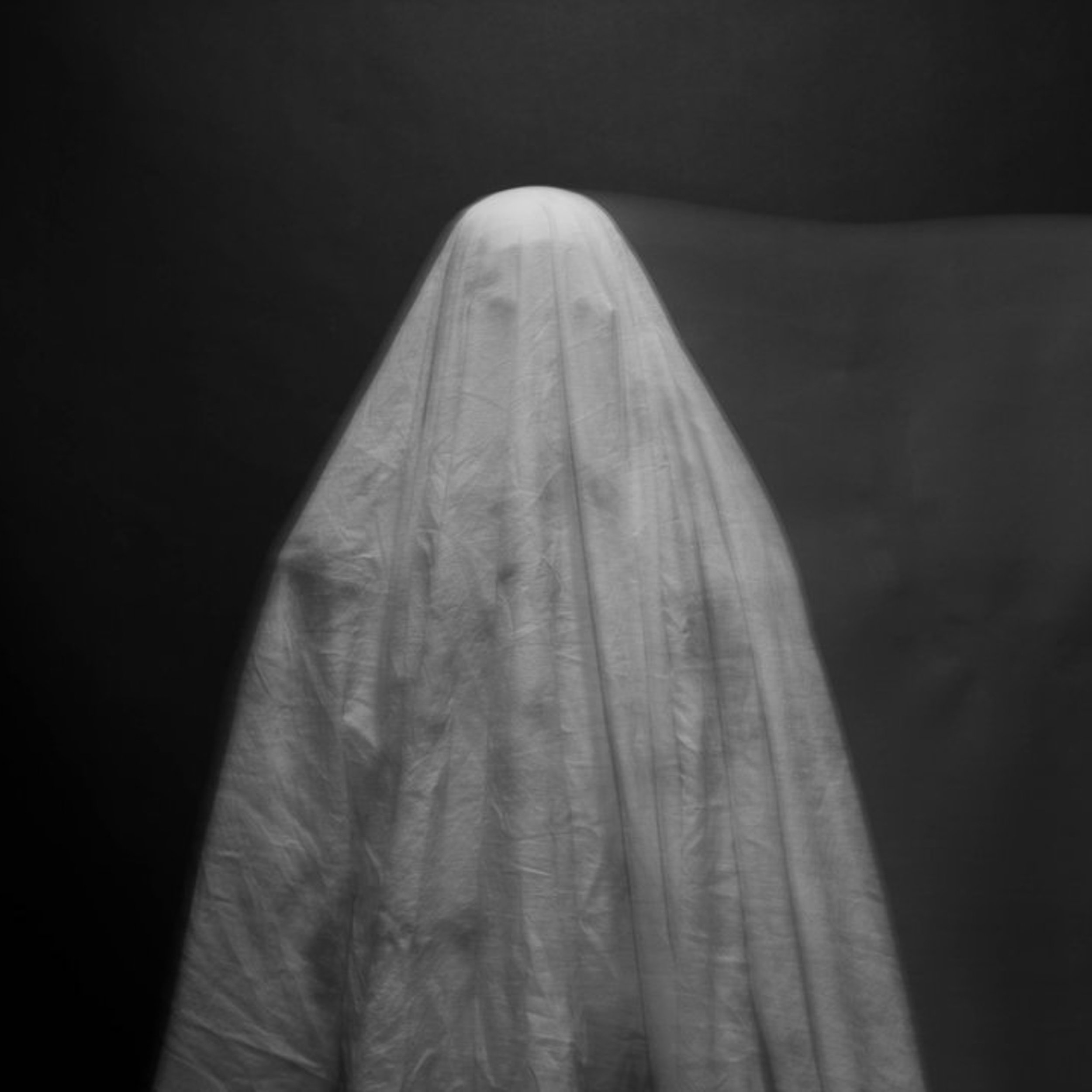 Fear of the Paranormal 