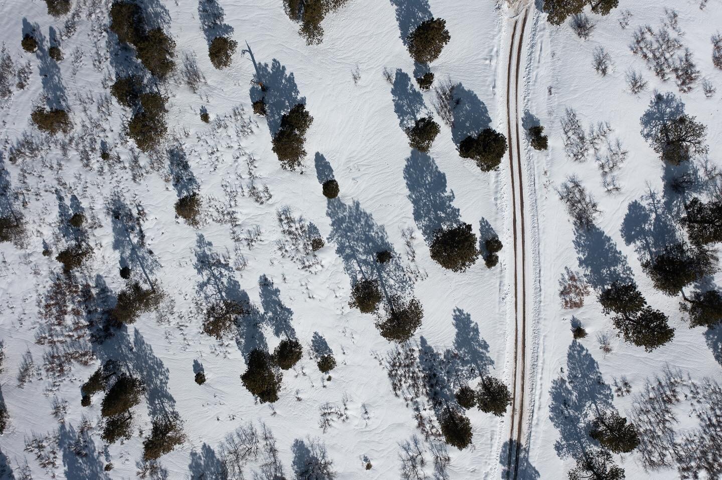 Shots from a snowy site visit to our new project in Durango Ridges. Our client has charged us to design around the mature pines that dot the site. The trees offer an opportunity to carefully frame views, which you can see in the video that was taken 