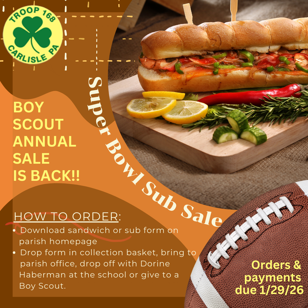 Scout Super Bowl Sub Sale.png