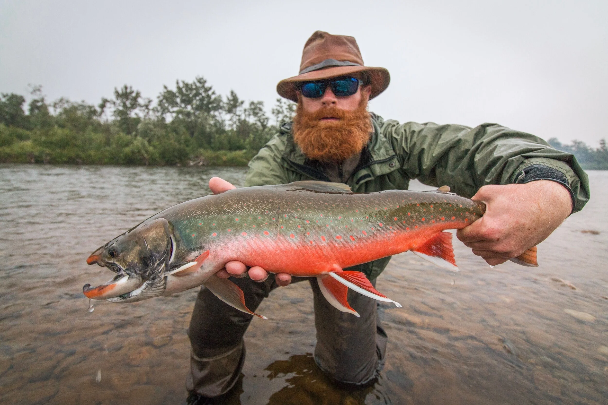 20180807-IMG_1456Fishy Bush Alaska.jpg