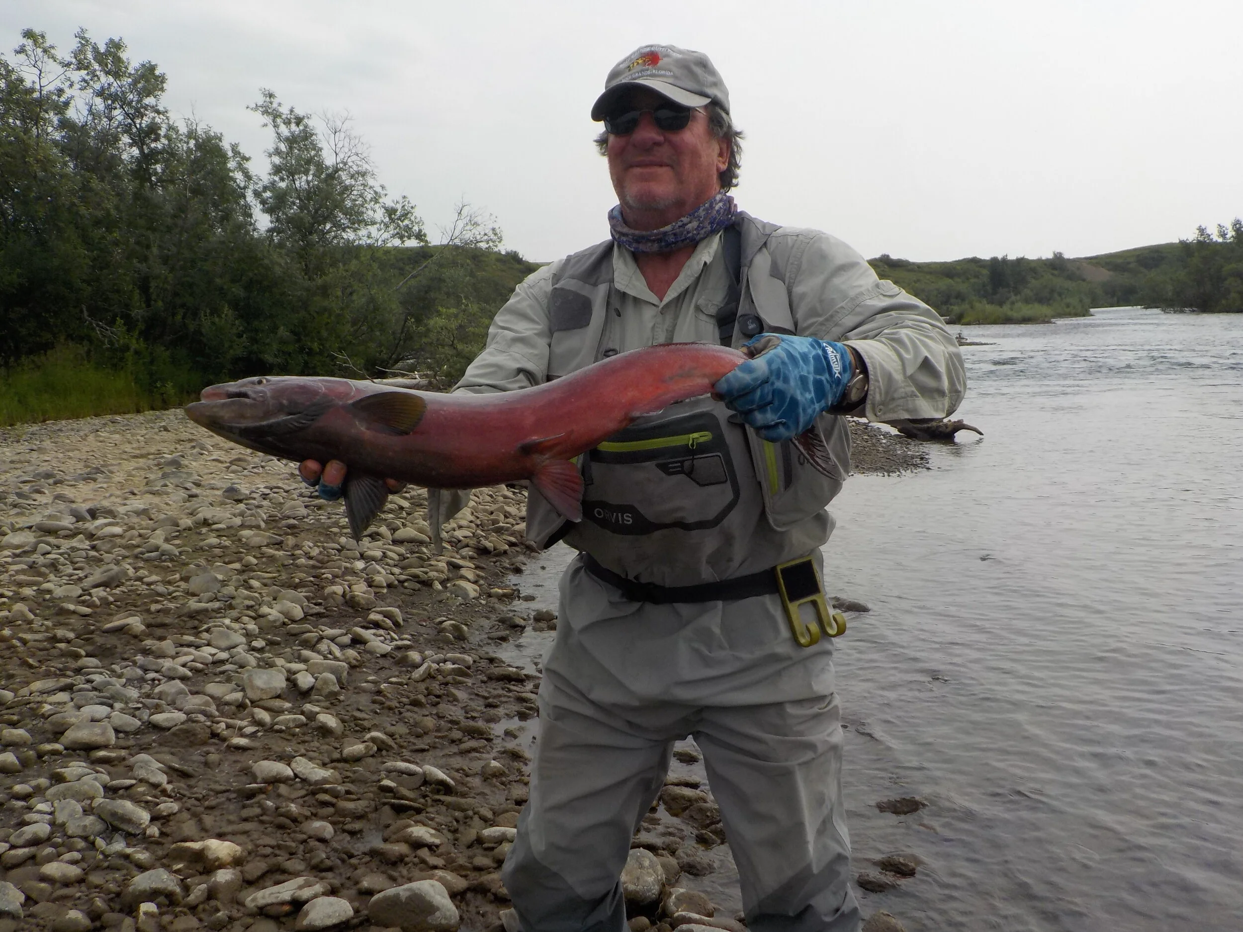 alaska  2019_ 52.JPG