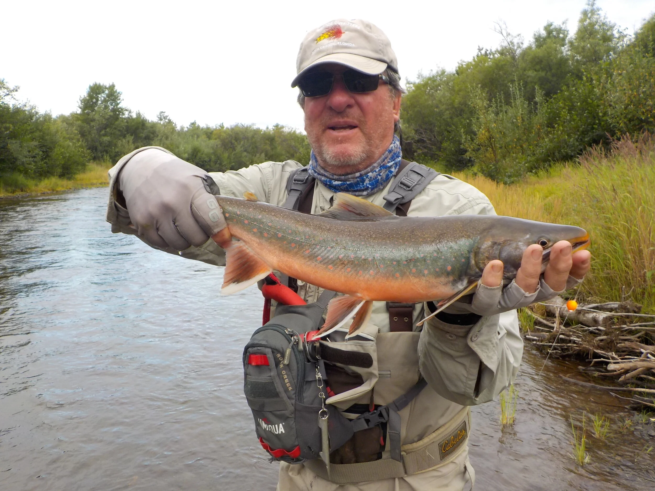 alaska leo joe aug 2017_20.JPG