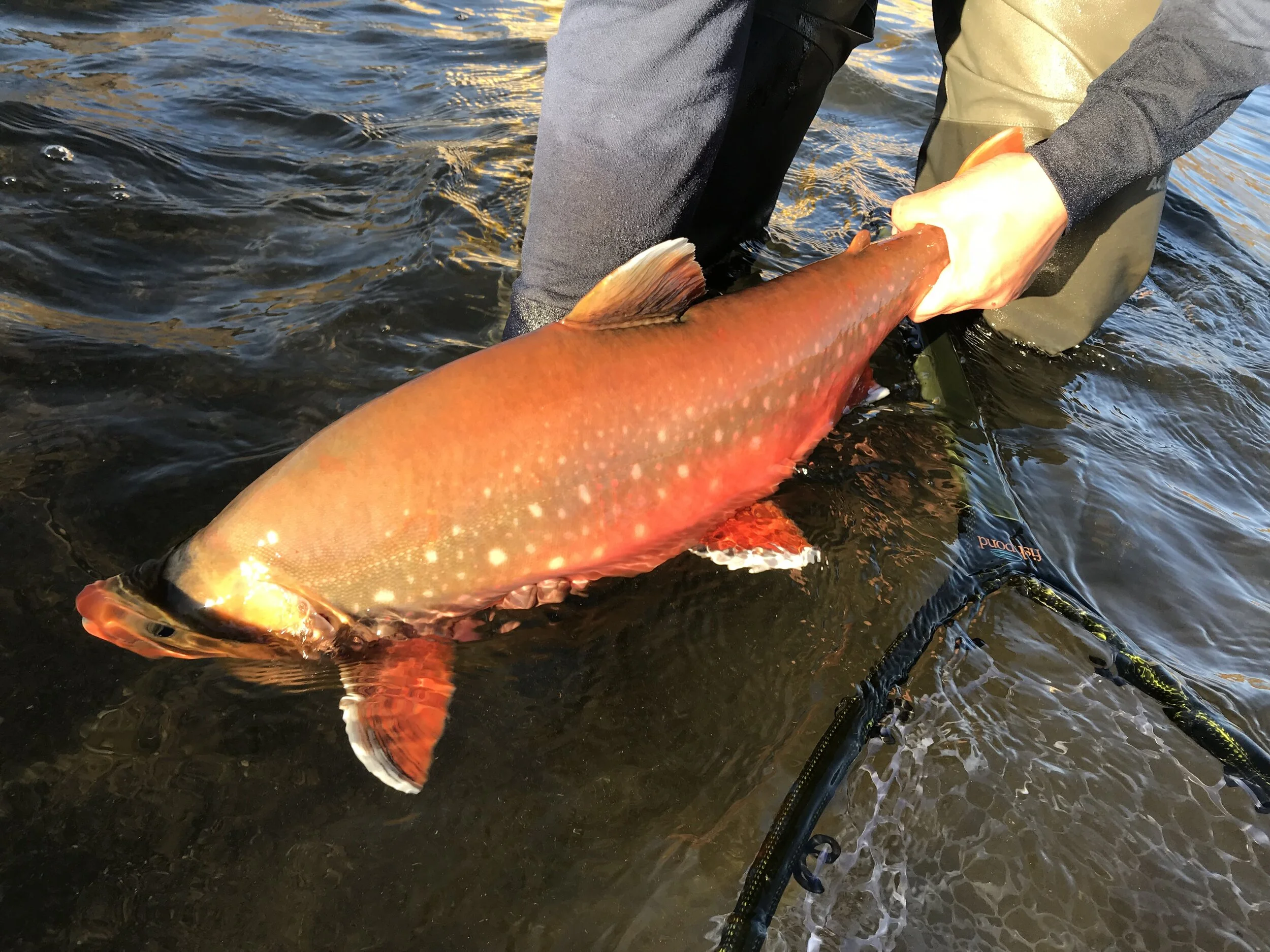 DIY remote Alaskan Fishing Trip