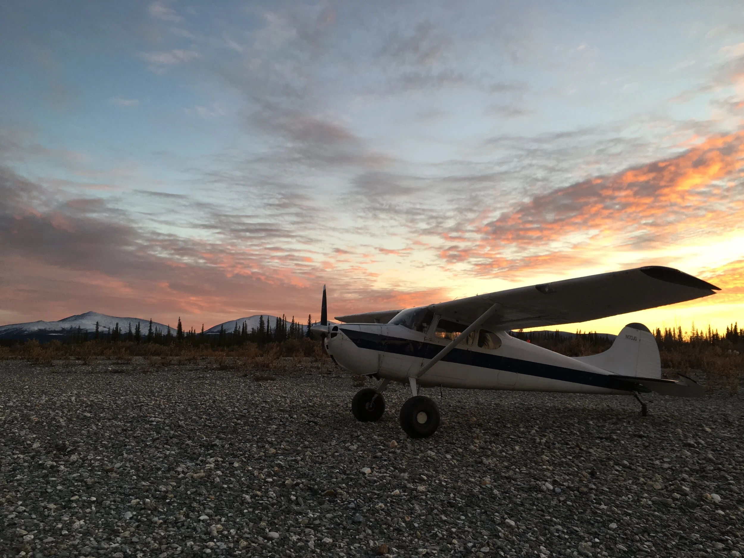 Alaska Moose and Bear combo Hunt