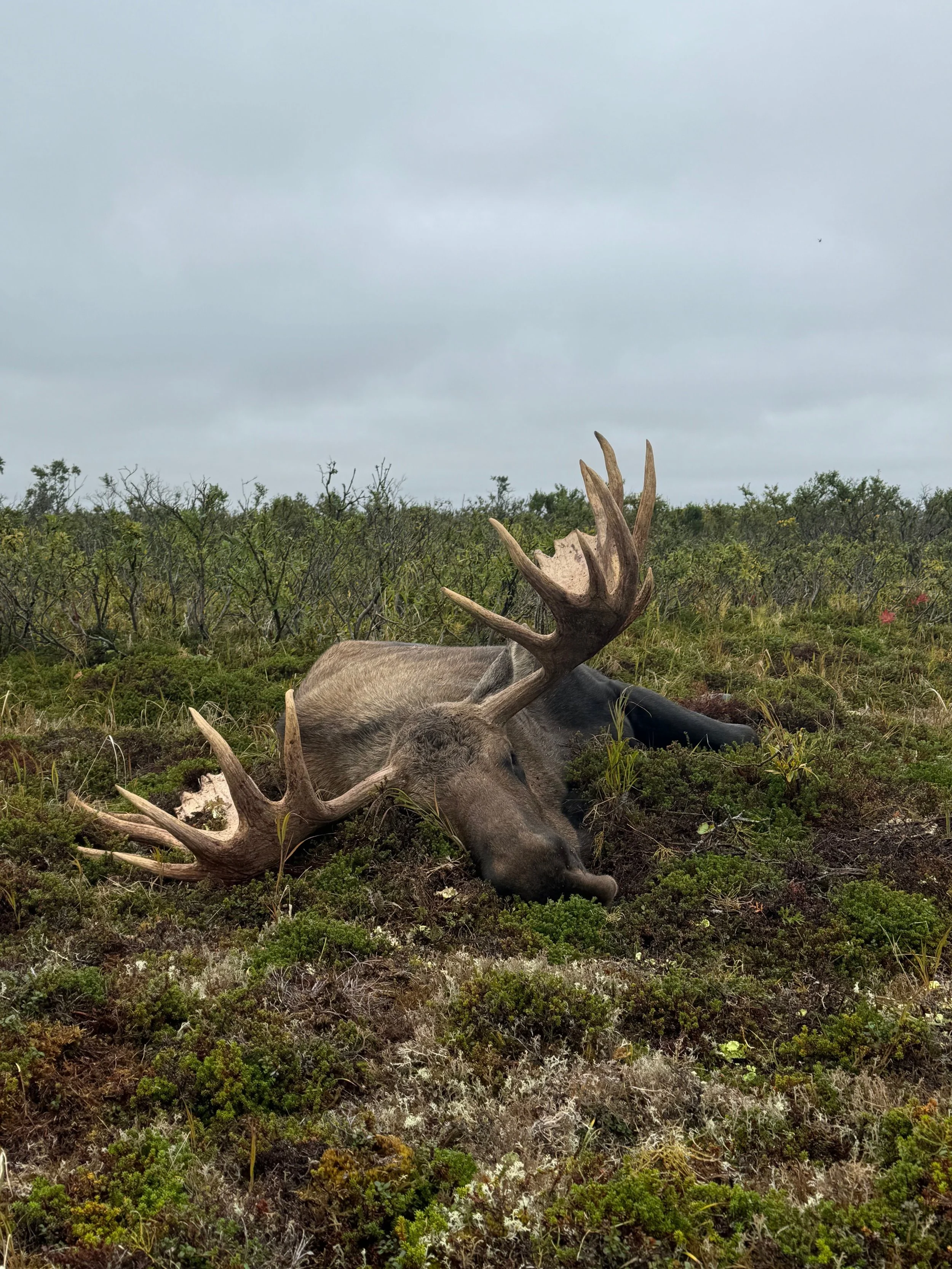 Hitner Group (2).jpeg