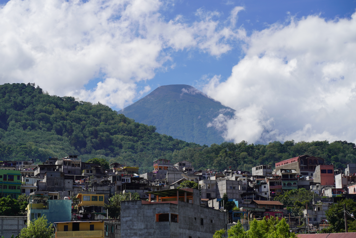 Newsletter #3: Urgent Request!