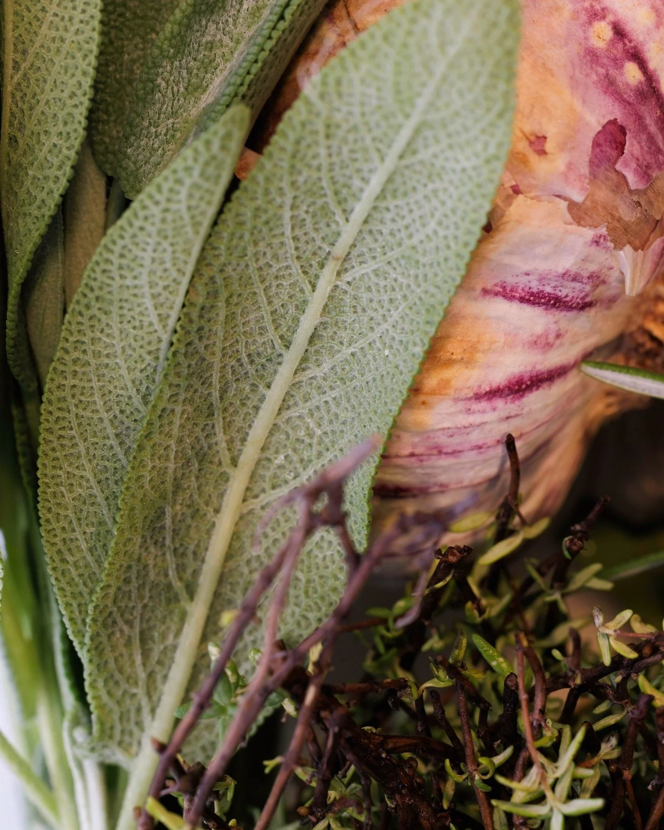 D&eacute;couvrez l&rsquo;excellence des saveurs locales et saisonni&egrave;res chez nous : une cuisine cr&eacute;ative avec des produits frais, locaux et de saison. 🍴🌱🧄

#chezdelagare #chezdelagaremontpellier #montpellier #montpellierrestaurant