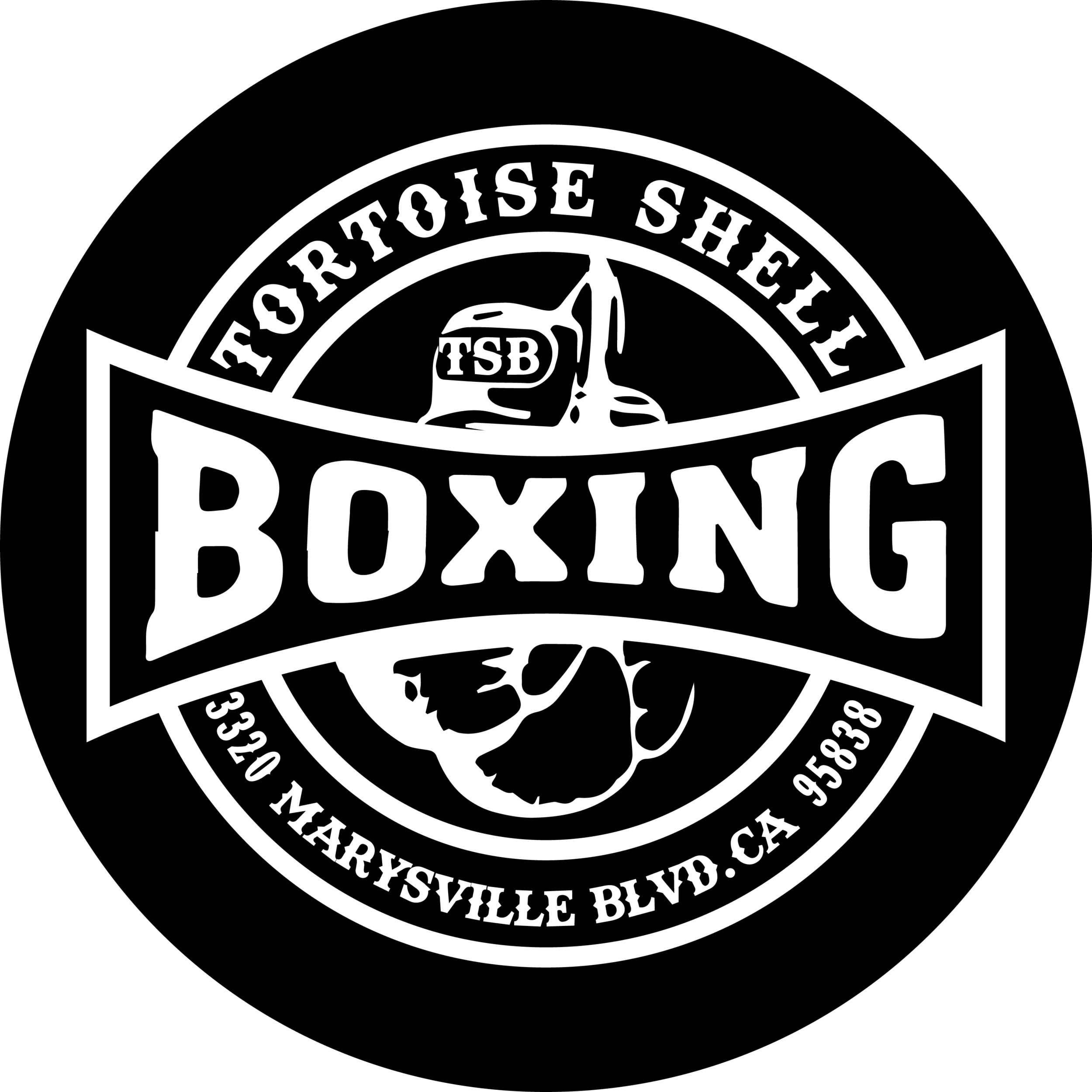 Tortoise Shell Boxing Gym