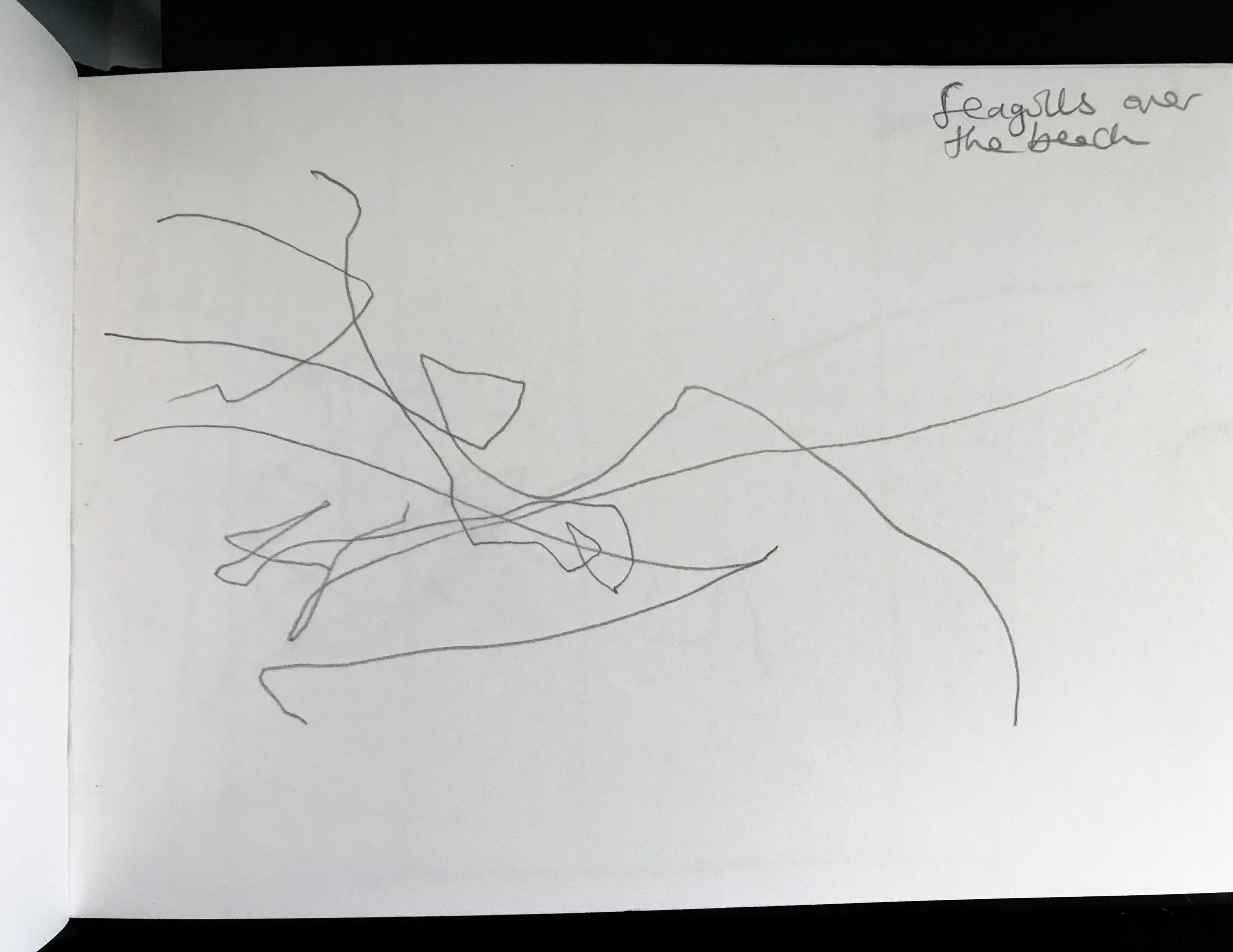 Seagulls-2.jpg