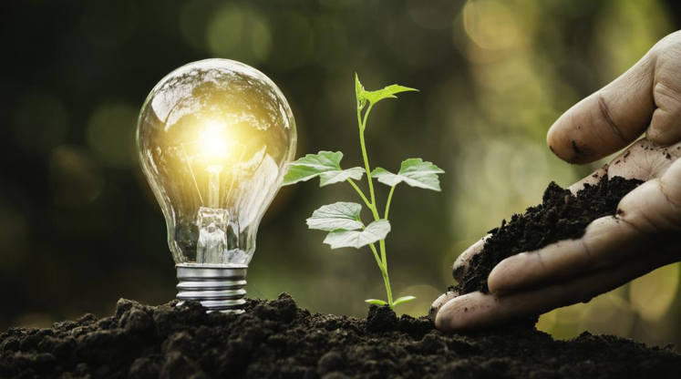 Changing Policy of Energy States - Loading up on Debt to Shift to a Greener Future?