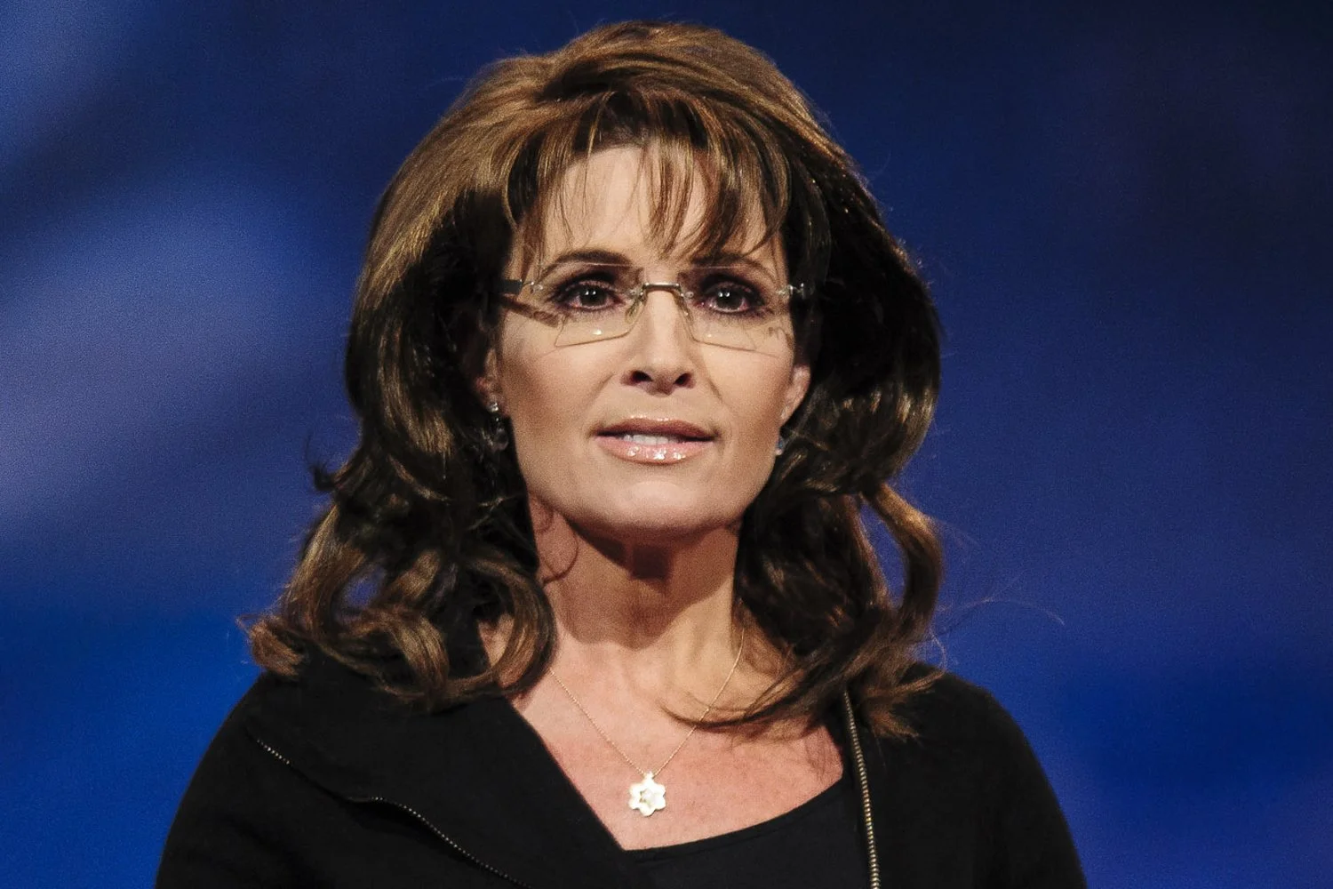 Sarah Palin v The New York Times Company