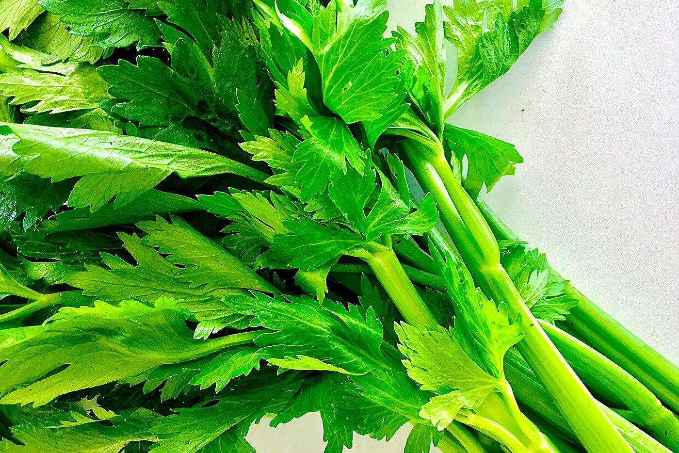 Celery