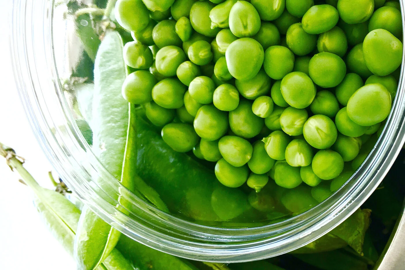 Legumes