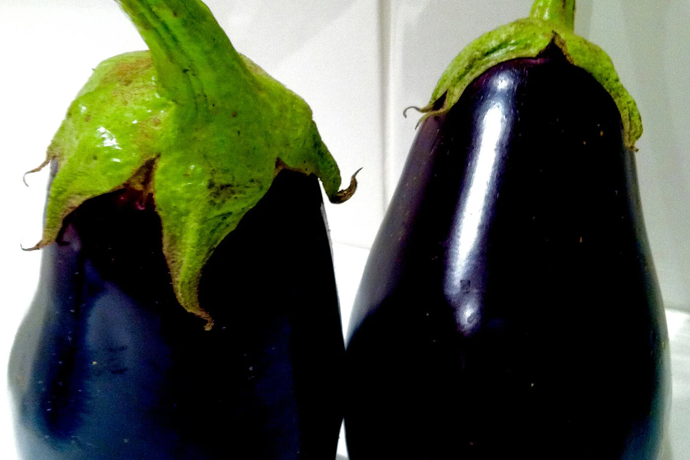 Eggplant