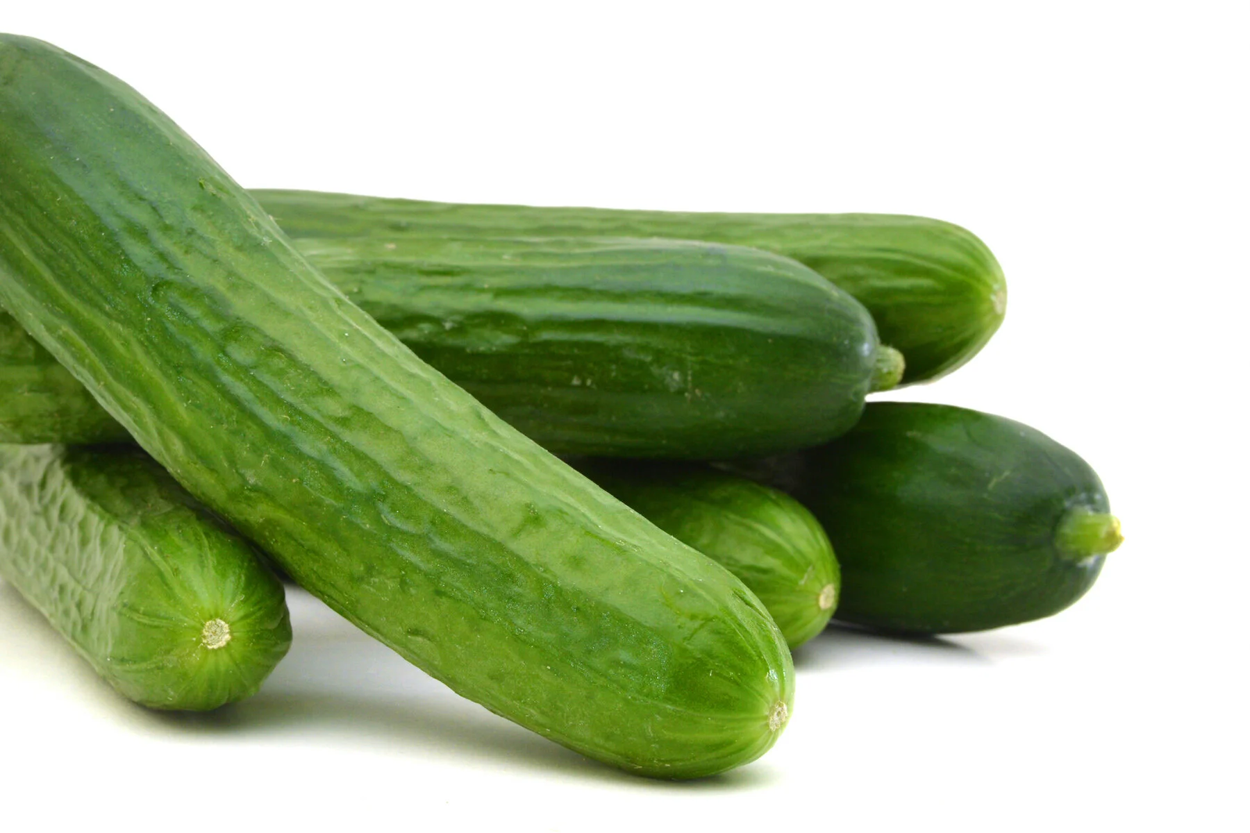 Cucumber