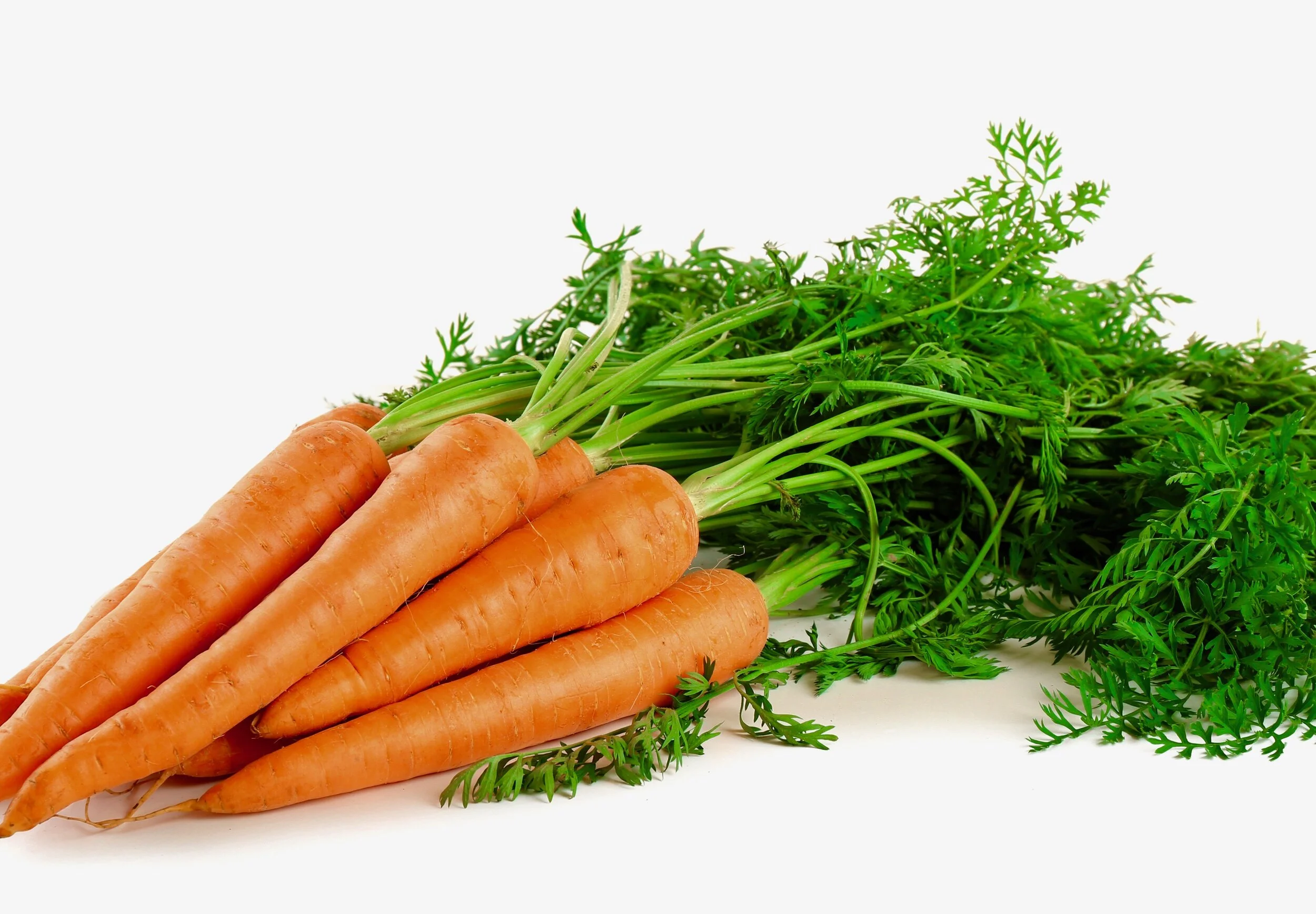 Carrots