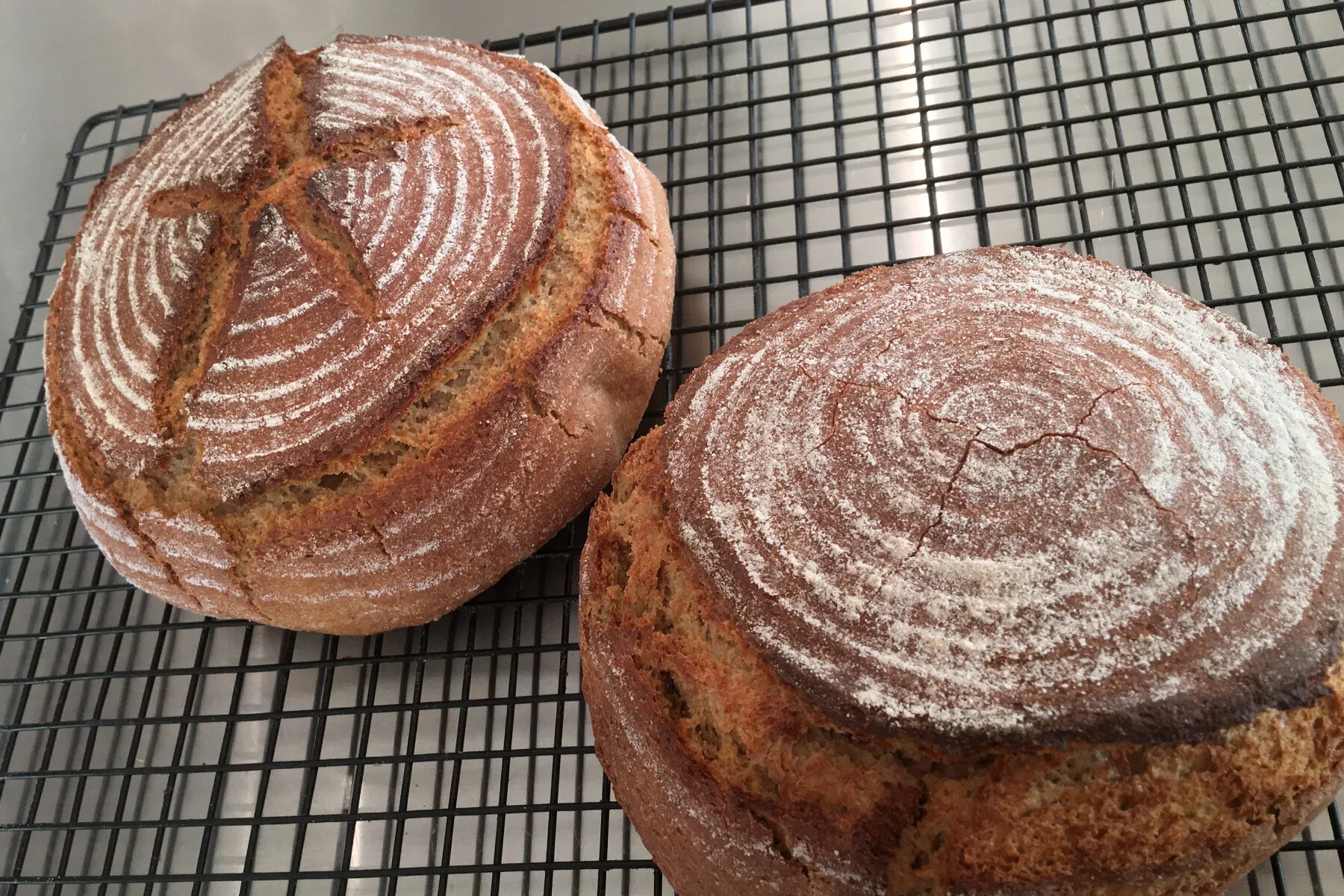 Jen's Whole Wheat Sourdough Boule