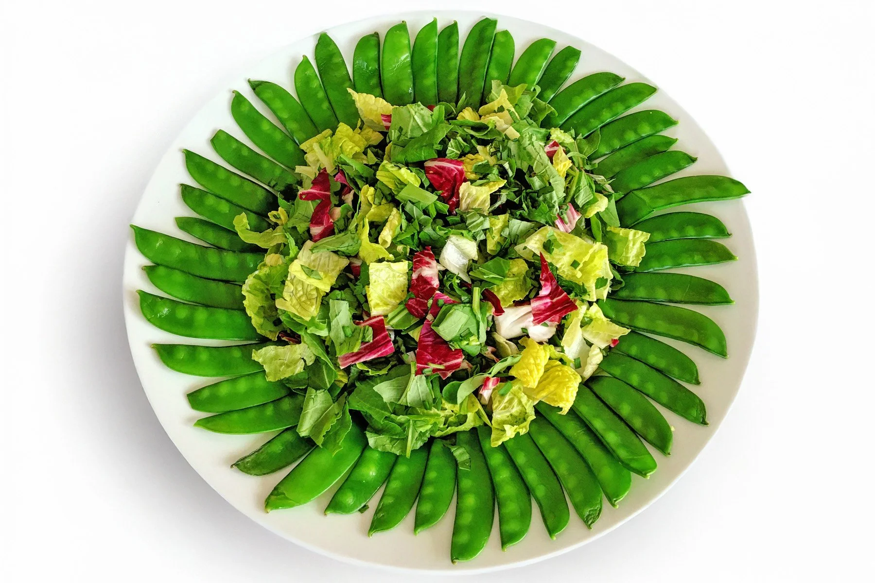 Fresh Herb Salad + Dill Dressing
