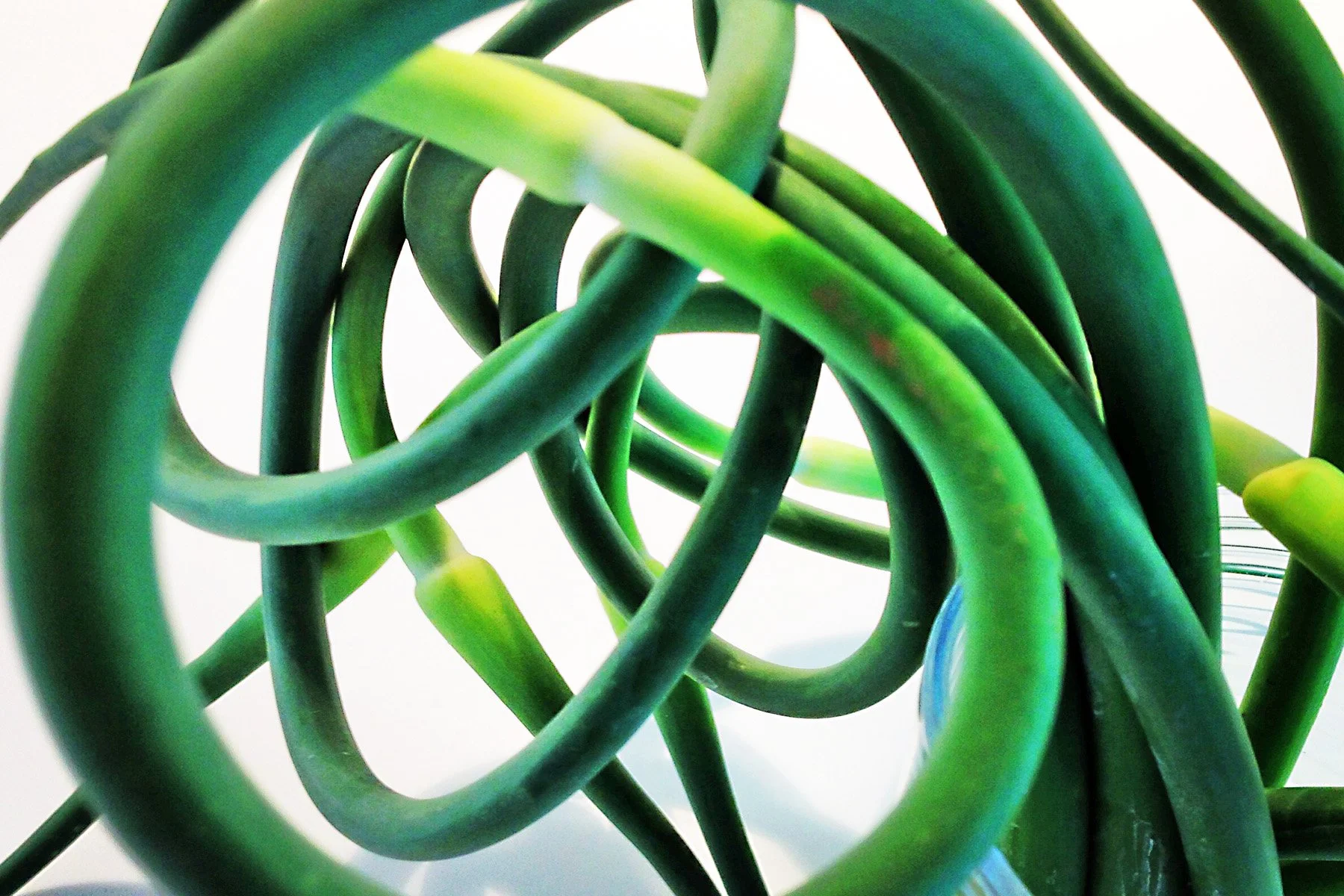 Garlic Scapes Pesto