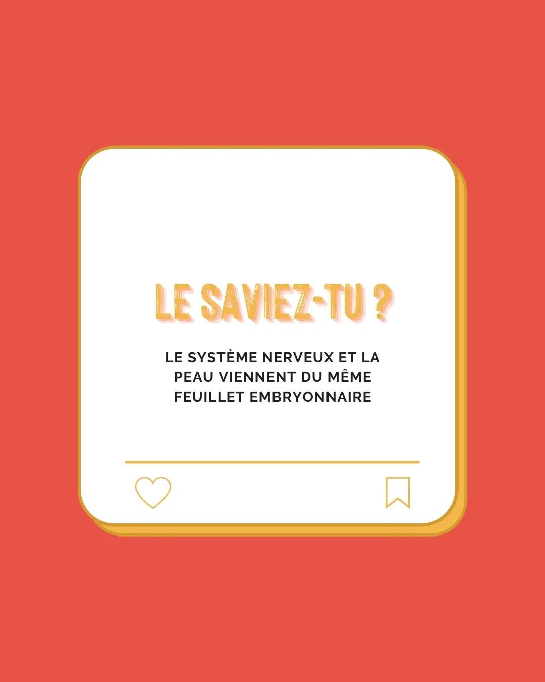 Ce qui veut dire... que le syst&egrave;me nerveux et la peau restent intimement li&eacute;s... m&ecirc;me une fois adulte !

Un syst&egrave;me nerveux surcharg&eacute;, le stress, des &eacute;motions pas accueillies peuvent transpara&icirc;tre sur la