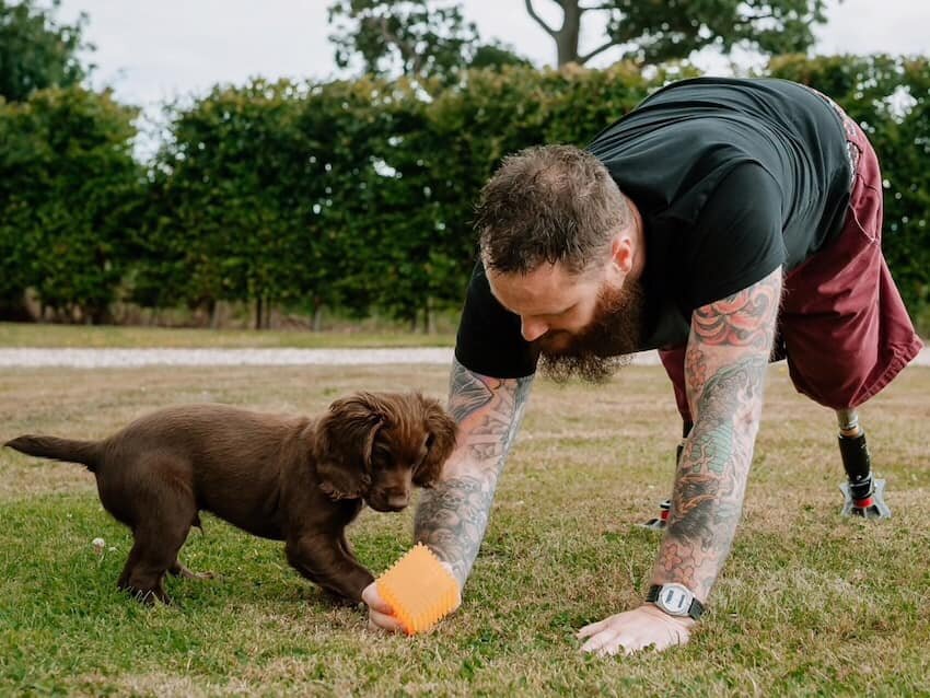 Dog Aid in the news again