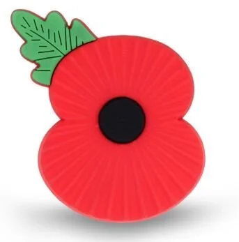 UGLE shows special light show for Remembrance Day
