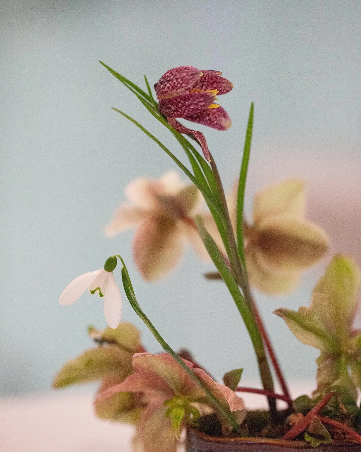 Nach einer ausgedehnten Winterpause sind wir schon mitten im Vorfr&uuml;hlingsarbeiten.
 
Ein sch&ouml;ner Start aus dem kreativen Winterschlaf war die Anfrage von @derstandardat 
f&uuml;r eine Eventdeko am Anfang M&auml;rz. 
Ja das geht mit den s&uu