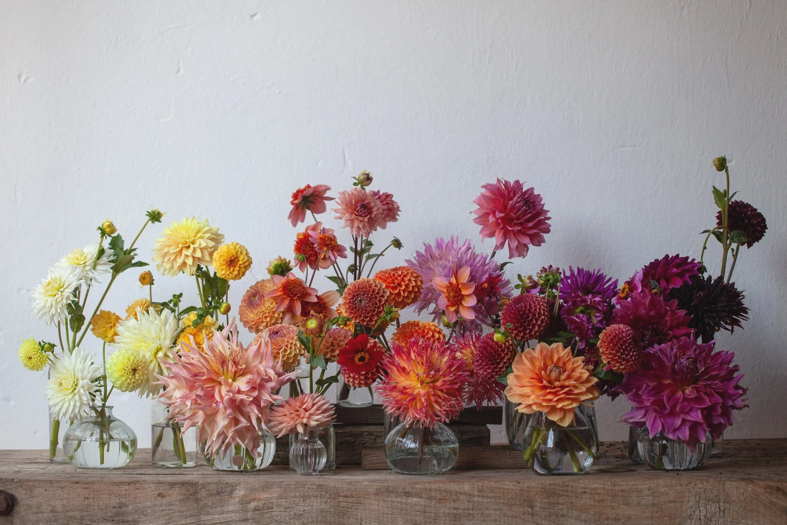 Verschiedene bunte Blumen in Gläsern auf einem holzfarbenen Tisch gegen eine weiße Wand.